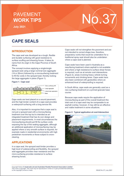 Cover of Cape Seals