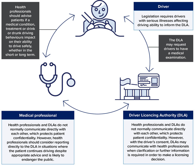 Describes the roles and responsibilities for drivers, medical professionals and driver licensing authorities outlined in sections 3.1, 3.2, and 3.3.