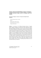 Cover of Fatigue of Road and Rail Bridges - Repair Techniques