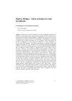 Cover of Railway Bridges: Safety in Design for Train Derailments