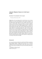 Cover of Vibration Mitigation Measures in Cable Stayed Bridges