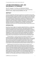 Cover of Lifetime Performance, Risk and Sustainability of Bridges
