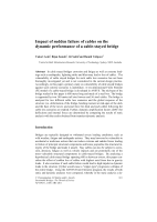 Cover of Impact of Sudden Failure of Cables on the Dynamic Performance of a Cable-stayed Bridge