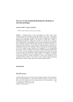 Cover of The Use of Non-Welded Refurbishment Methods in Steel Road Bridges