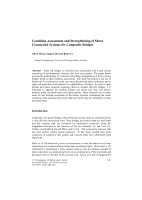Cover of Condition Assessment and Strengthening of Shear Connection Systems for Composite Bridges