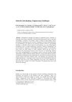 Cover of Robotic Grit-blasting - Engineering Challenges