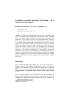 Cover of Durability Assessment and Design for 100 Years Life in Aggressive Environments