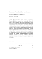 Cover of Importance of Detection of Black Rust Formation