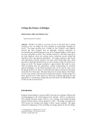 Cover of Lifting the Future of Bridges