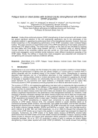 Cover of Fatigue Tests on Steel Plates with Inclined Cracks Strengthened with Different CFRP Properties