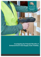 Cover of Investigating the Potential Benefits of Enhanced End to End Supply Chain Visibility