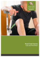Road Crash Injuries: Cost and Prevention